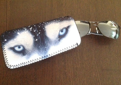 Sun Glasses Case